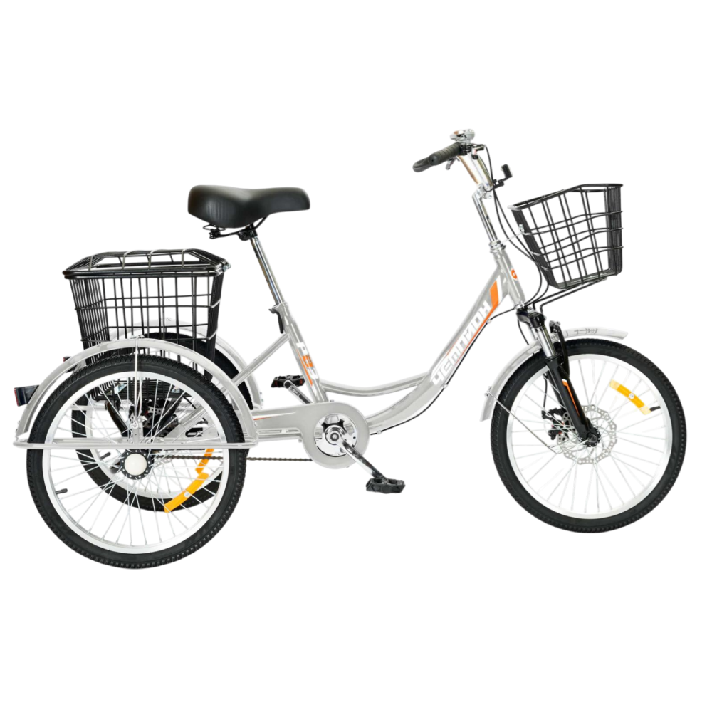 Трехколесный велосипед для взрослых РВЗ Чемпион 20" 1 скорость серебристый 2