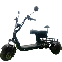 Электроскутер Citycoco GT X3 Pro Trike Mini