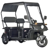 Электротрицикл Wanshida NIPLA 570 60V 1000Вт