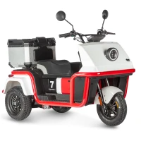 Электротрицикл Wanshida DOUHAO 60V 800Вт